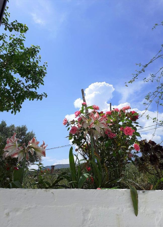 Daphnes Apartments Ratzaklion Luaran gambar